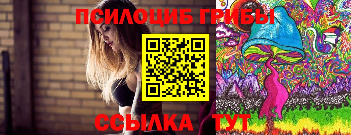 Псилоцибиновые грибы Cubensis  Вход с VPN  Галлюциногенные грибы Psilocybe  Гусев 